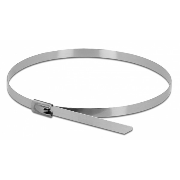 DELOCK μεταλλικός σφιγκτήρας καλωδίων 18772, 300x7.9mm, 10τμχ