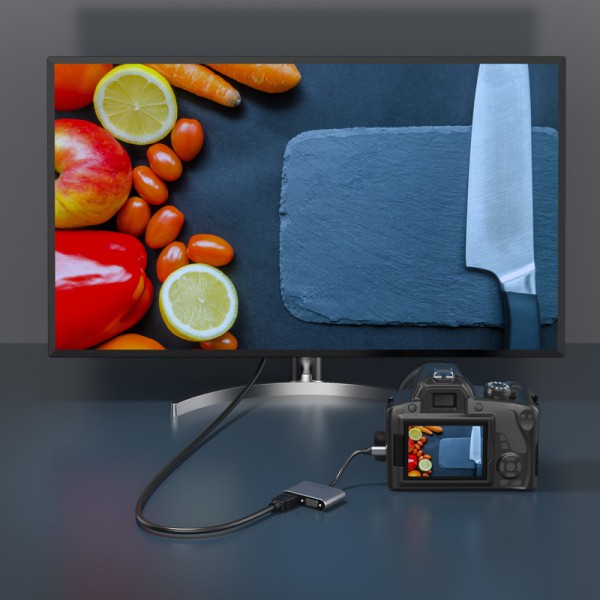 CABLETIME αντάπτορας USB-C σε HDMI & VGA CT-PU31, 4K/30Hz, ασημί CABLETIME αντάπτορας USB-C σε HDMI & VGA CT-PU31, 4K/30Hz, ασημί