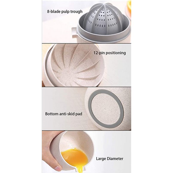 ECOCO Χειροκίνητος αποχυμωτής E1812, μπεζ