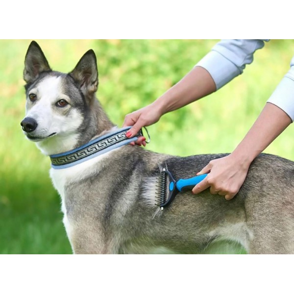 Χτένα για κατοικίδια ZW3A, 10cm, μπλε Χτένα για κατοικίδια ZW3A, 10cm, μπλε