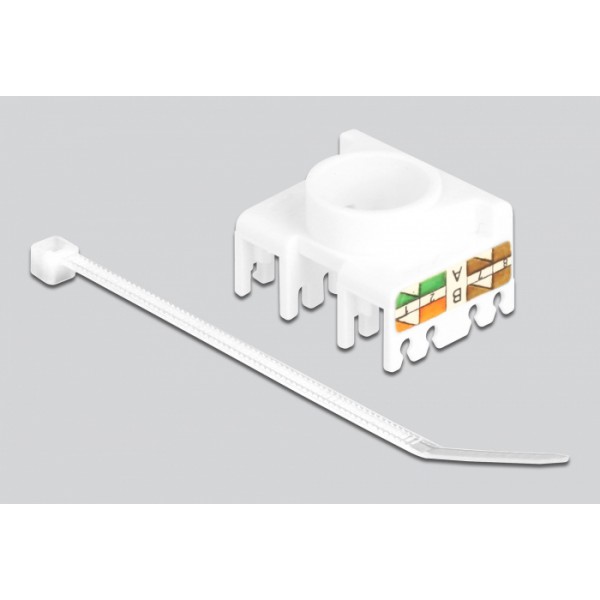 DELOCK keystone module RJ45 σε LSA 180° 87034, Cat.6A, λευκό