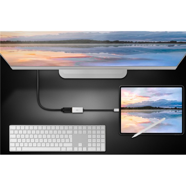 GOOBAY αντάπτορας USB-C σε DisplayPort 60195, 8K/30Hz, 4K/120Hz, γκρι GOOBAY αντάπτορας USB-C σε DisplayPort 60195, 8K/30Hz, 4K/120Hz, γκρι