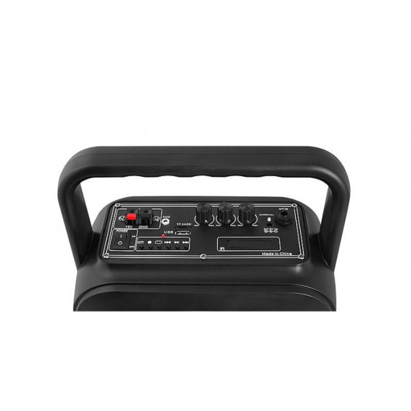 LTC φορητό ηχείο LXPA100 με μικρόφωνο, 15W RMS, BT/TF/USB/AUX, FM, μαύρο