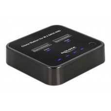 DELOCK docking station 64178, clone function, 2x M.2 SSD, 6Gbps, μαύρο
