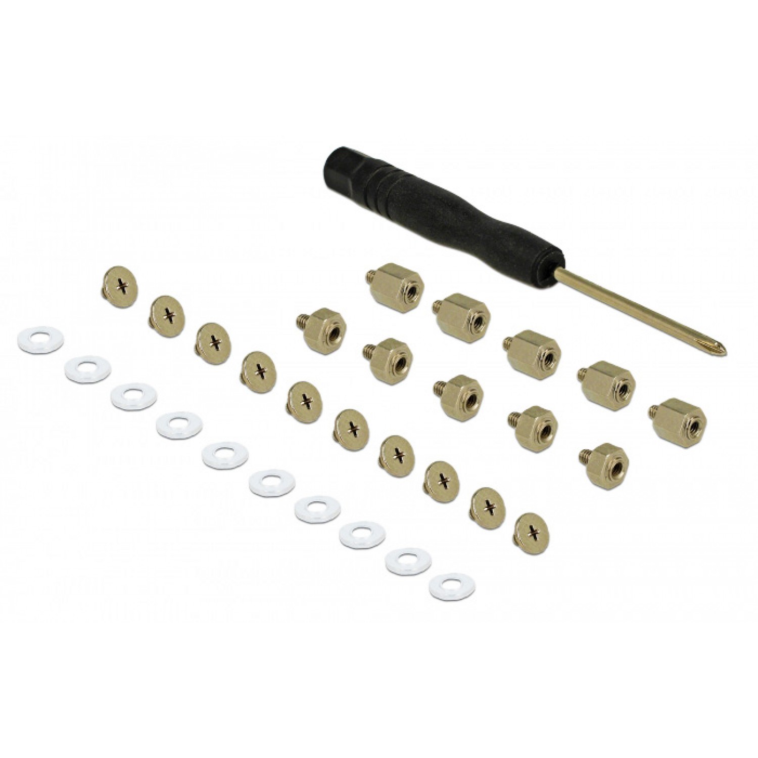 DELOCK Mounting Kit για M.2 SSD / Module, 31τμχ DELOCK Mounting Kit για M.2 SSD / Module, 31τμχ