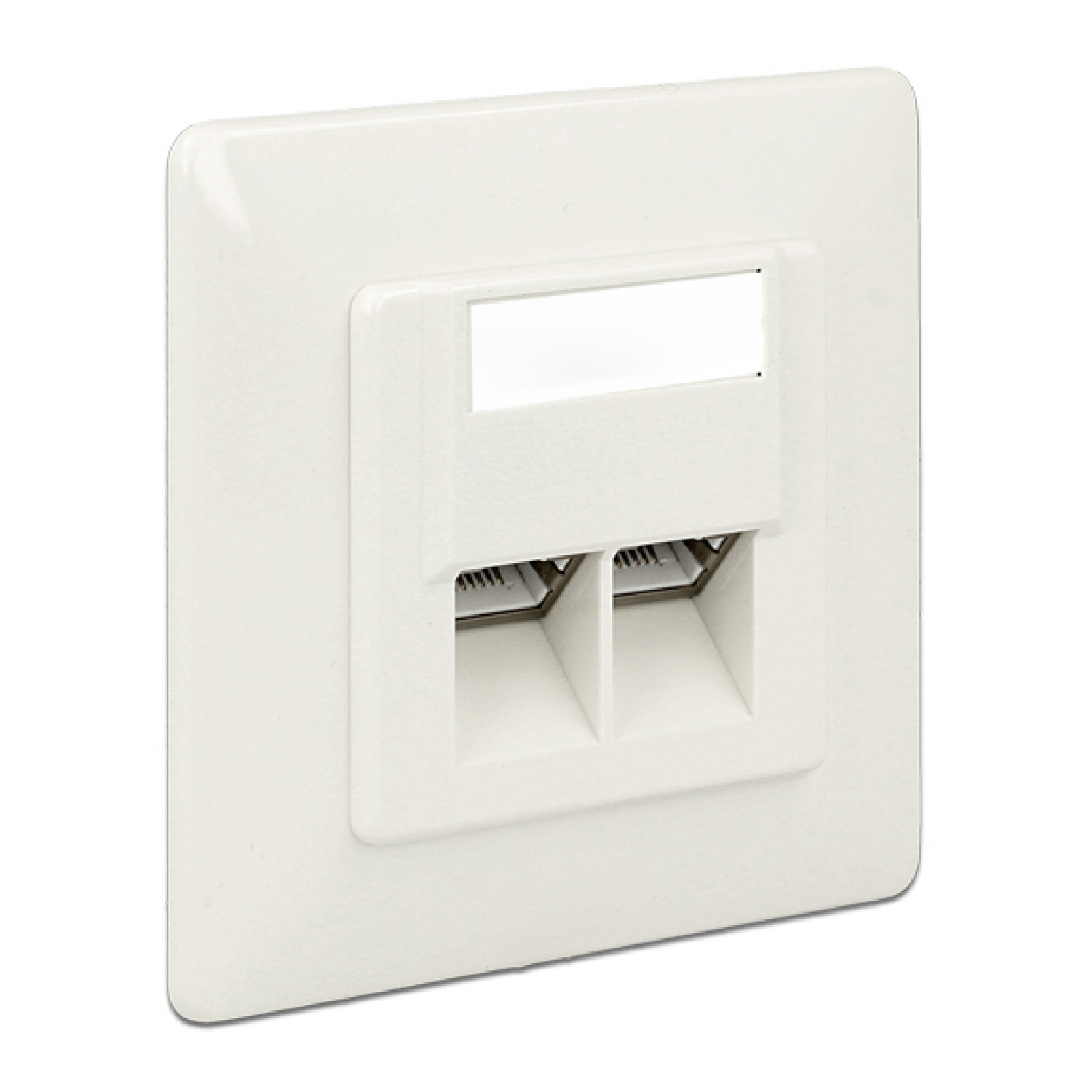 DELOCK Modular Wall Outlet Δικτύου, Cat.6A, LSA, 2 Port