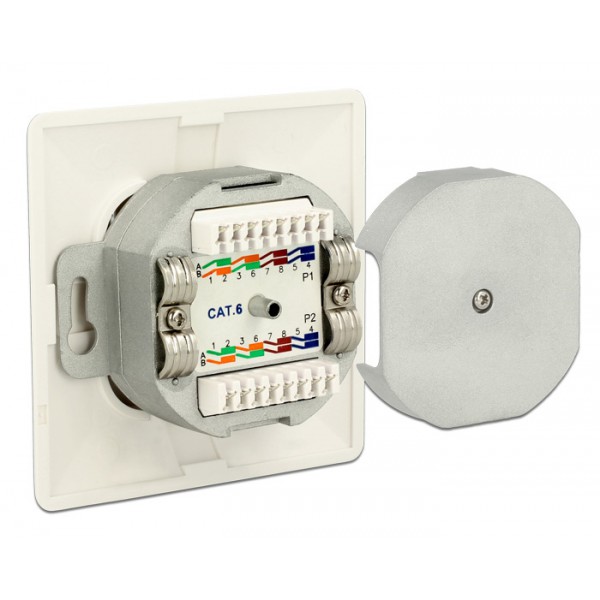 DELOCK Modular Wall Outlet Δικτύου, Cat.6A, LSA, 2 Port