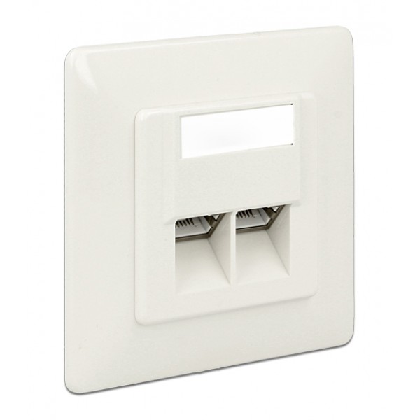 DELOCK Modular Wall Outlet Δικτύου, Cat.6A, LSA, 2 Port