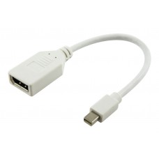 POWERTECH Converter Mini DisplayPort (M) σε Display Port 20pin (F)