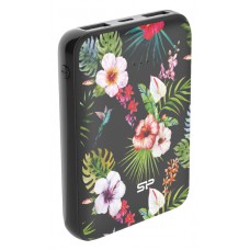 SILICON POWER Power bank C100, 10000mAh, 2x output, 2.1A, μαύρο