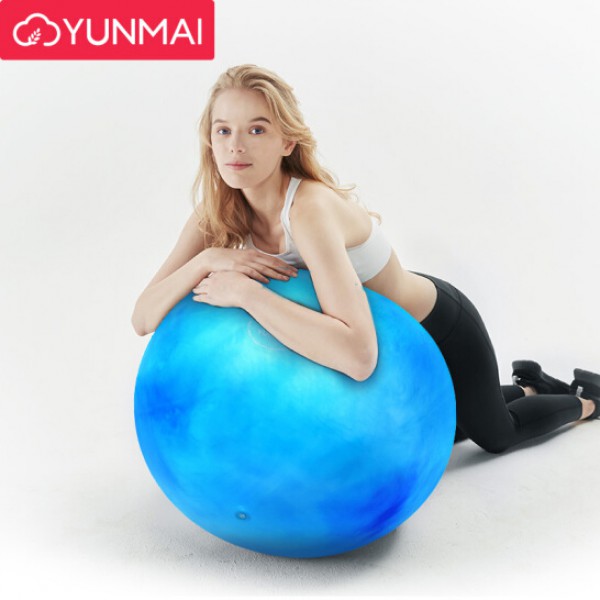 YUNMAI μπάλα γυμναστικής YMYB-P202, 65cm, μπλε YUNMAI μπάλα γυμναστικής YMYB-P202, 65cm, μπλε